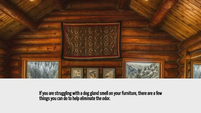 Video thumbnail for How To Get Rid Of Dog Gland Smell On Furniture