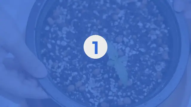 Video thumbnail for How to start an indoor herb garden