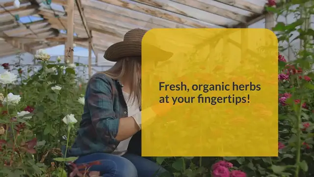 Video thumbnail for The Essential Herbs You Need To Grow at home