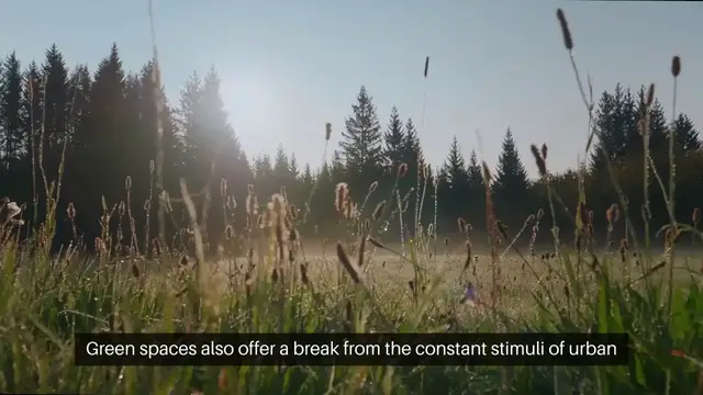 Video thumbnail for The Effects Of Green Spaces On Well Being