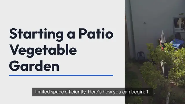 Video thumbnail for How to Start a Patio Vegetable Garden