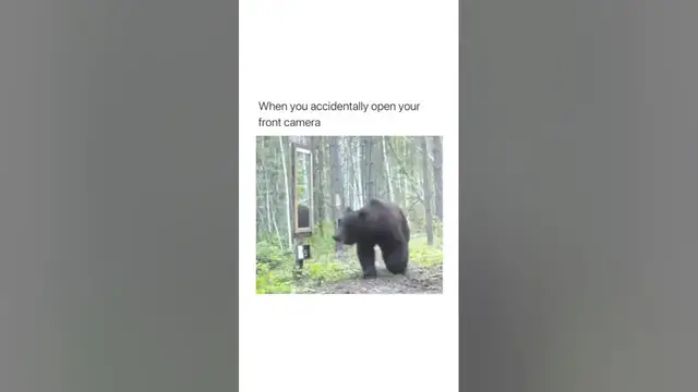 Video thumbnail for when you accidentally open your front camera