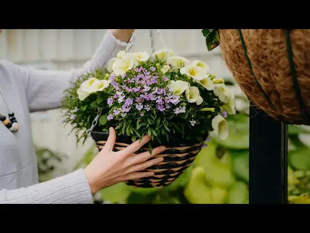 Video thumbnail for 7 Tips On How To Care For Hanging Basket Gardens
