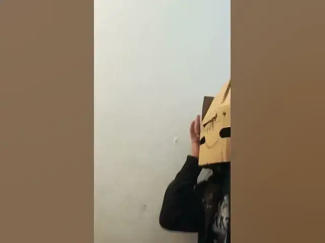 Video thumbnail for brain hurt