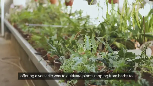 Video thumbnail for Container Gardening Mistakes to Avoid