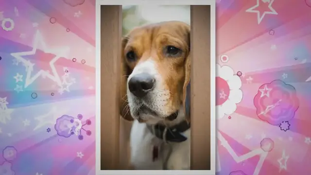 Video thumbnail for Flawless Foundation: Unveiling the Mystery of Separation on Your Nose