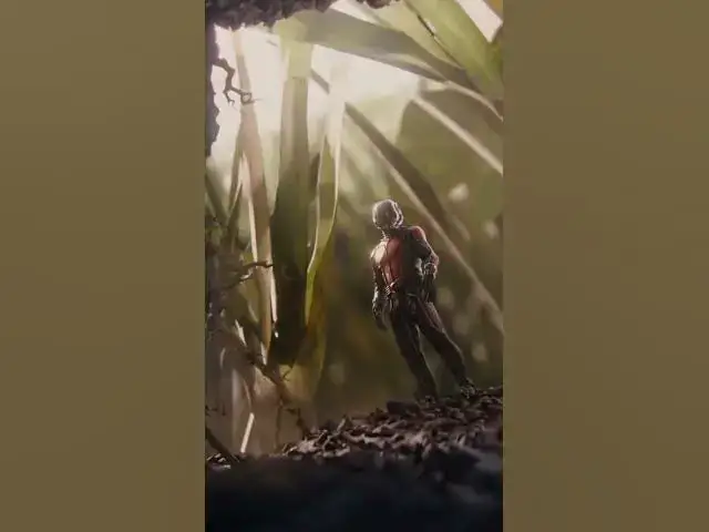 Video thumbnail for Antman and the Crazy Ants #antman #paulrudd #MCU #scott lang    #hopevandyne #evangelinelilly