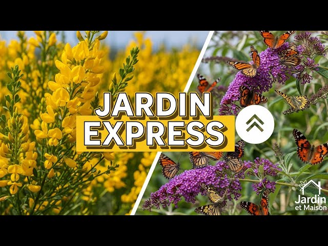 Video thumbnail for Jardin : Le TOP 5 des Arbustes qui Poussent VITE