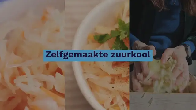 Video thumbnail for Zelf zuurkool maken: gefermenteerde kool