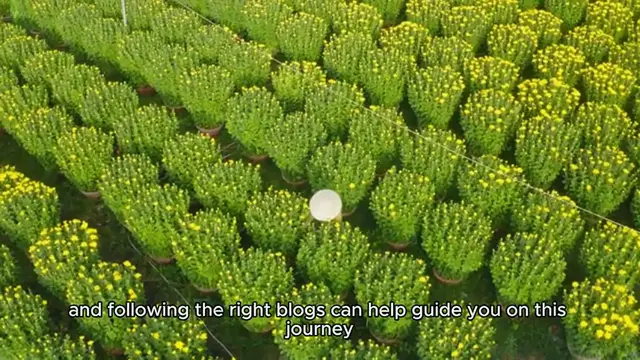 Video thumbnail for Best Sustainable Living Blogs to Follow