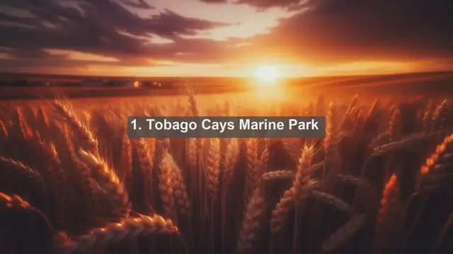 Video thumbnail for Discover the Stunning Landscapes of Saint Vincent and the Grenadines: Top 10 Must-Visit Destinations