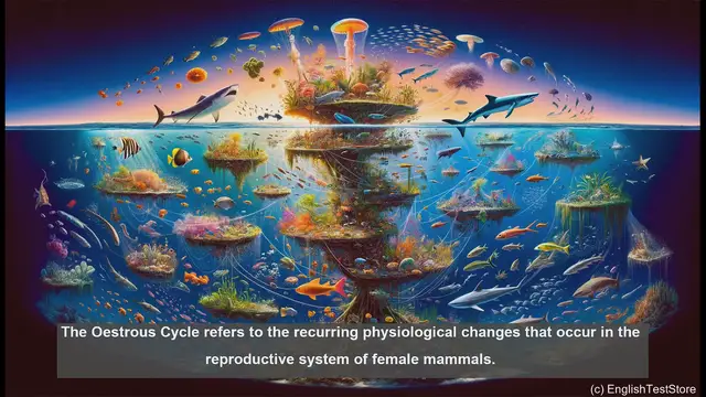 Video thumbnail for Oestrous cycle in biology