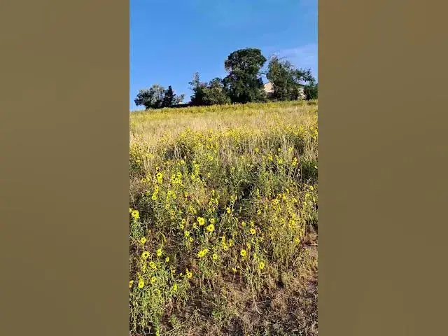 'Video thumbnail for Colorado Springs, Colorado'