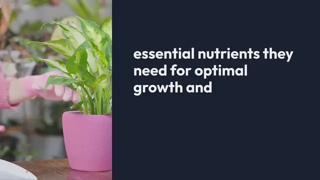 Video thumbnail for Indoor Garden Fertilizers What You Need to Know