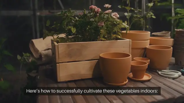 Video thumbnail for How to Grow Indoor Beans and Peas