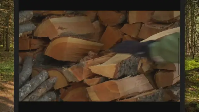 Video thumbnail for Discover the Hidden World of Wood Firewood with Stunning Pictures | SARPO