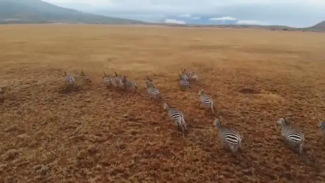 Video thumbnail for Beyond the Maasai_ 10 Unique African Tribes That Will Captivate You_2