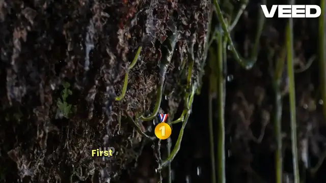 Video thumbnail for Science Fair Project Ideas for Kids