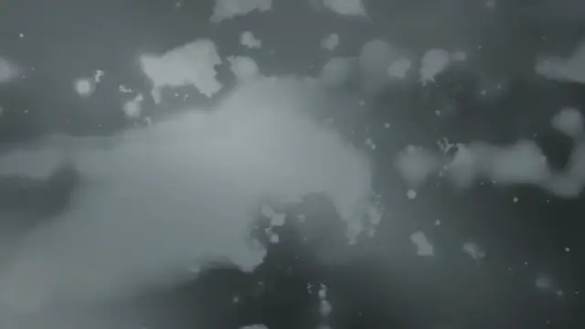 Video thumbnail for ‘This is Peak Greed’: Activists Blast Meta for Reinstating Trump to Facebook