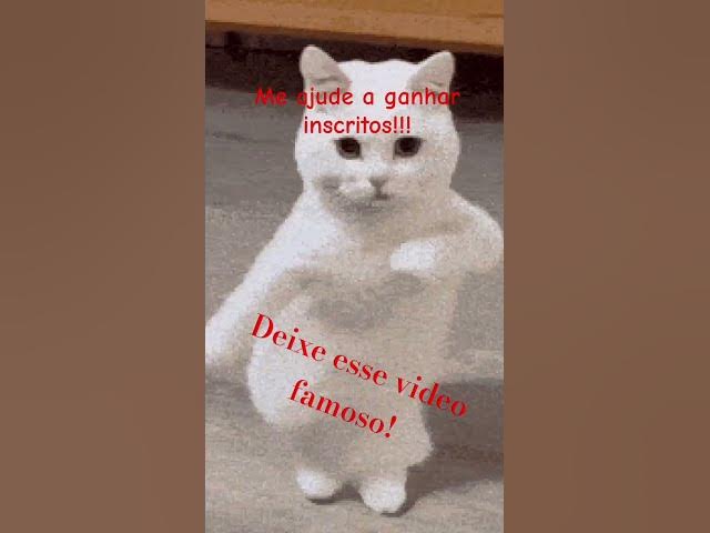 Video thumbnail for Cat dancing