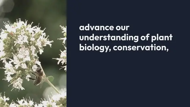Video thumbnail for Botanical Gardens And Their Role In Scientific Research