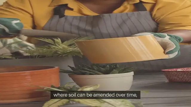 Video thumbnail for Best Soil Mix for Container Gardening