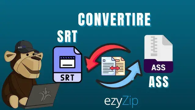 'Video thumbnail for Come Convertire SRT in ASS Online (Guida Semplice)'