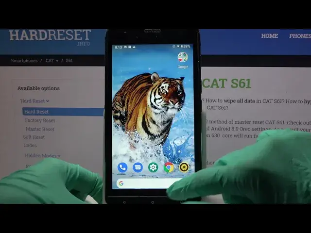 Video thumbnail for How to Find Downloaded Files in CAT S61?