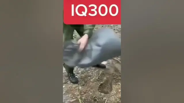 Video thumbnail for IQ level 300+