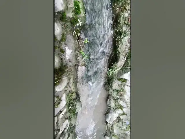 'Video thumbnail for Soothing Tea Sounds: The Serene Melody of Nature'