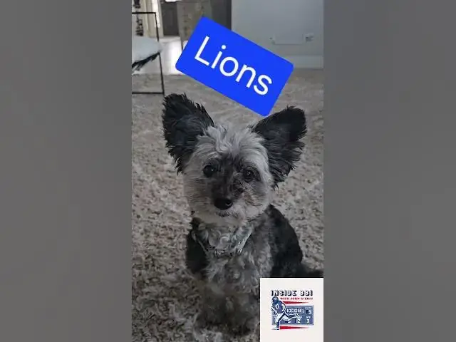 Video thumbnail for Stella's NFL Week 1 LOCKS!