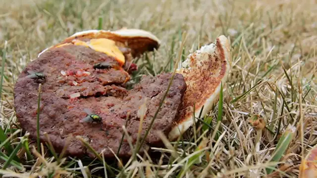 Video thumbnail for AI Unveiled: Demystifying the World of Artificial Intelligence - Your Comprehensive Guide to Understanding What AI Truly Is 🤖💡