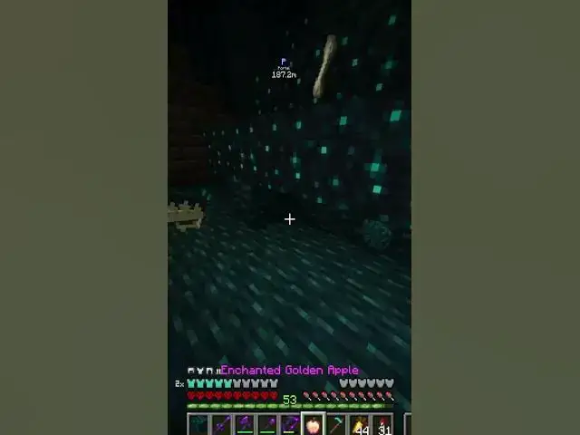Video thumbnail for The Worst Minecraft Pet EVER