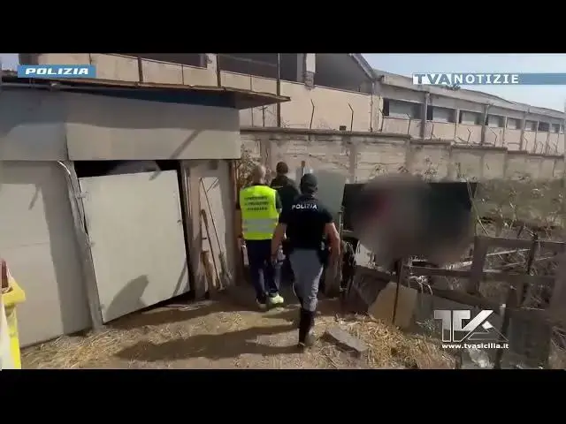 'Video thumbnail for Controlli a Catania: sequestrati 300 grammi di cocaina, denunciato 34enne per maltrattamento di anim'