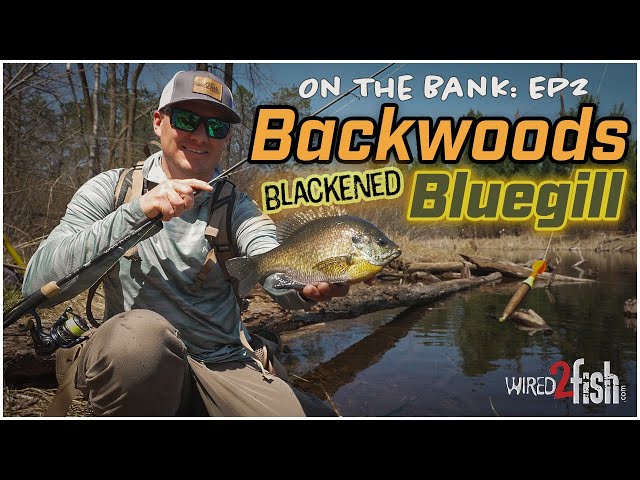 Video thumbnail for On The Bank - EP2: Backwoods Bank Fishing & Blackened Bluegill Catch and Cook