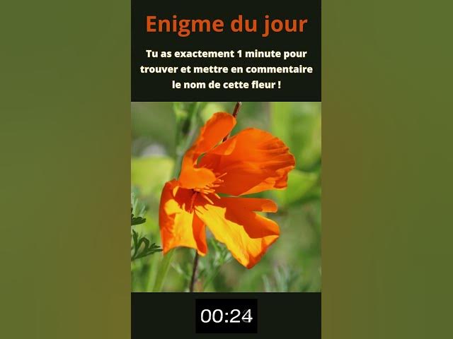 Video thumbnail for Enigme du jour