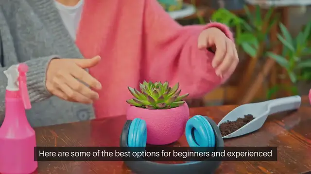 Video thumbnail for Best Plants For Indoor Gardening