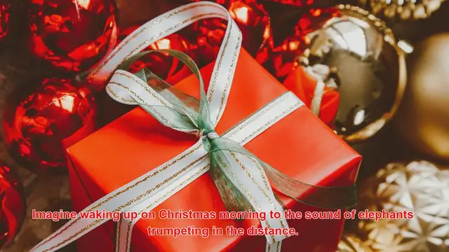 Video thumbnail for How Do People Celebrate Christmas With Wildlife Safaris?