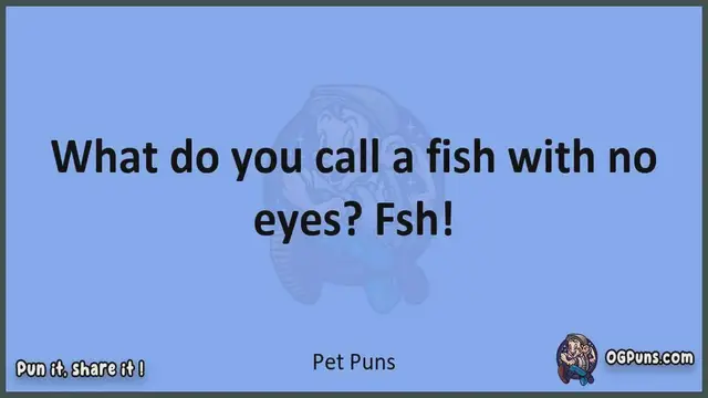 Video thumbnail for Pet - Jokes, Puns, Wordplays, and Laughter