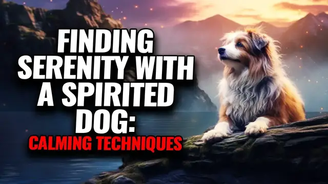 'Video thumbnail for Simple & Effective Tricks to Calm a Hyperactive Dog'