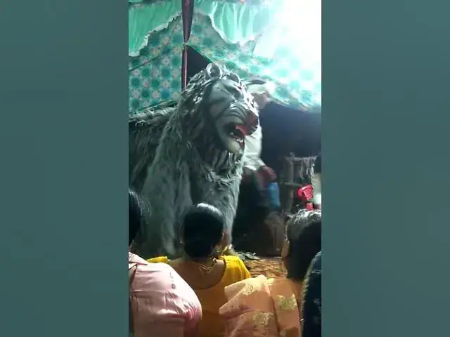 Video thumbnail for मां के शेर ने के ले लिया😱#happy_lokgeet #viral #shortvideo #हरियाणवी #bhaktisadhna