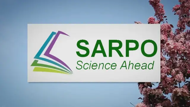 Video thumbnail for From Vibrant Hues to Stunning Silver: Watch Cedar Transform Before Your Eyes!