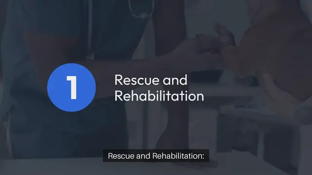 'Video thumbnail for Adopting a Pet From Shelter to Forever'