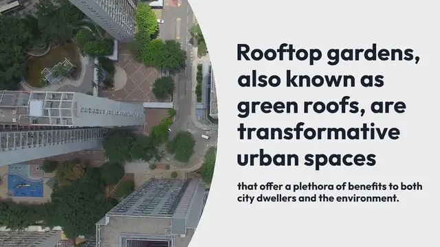 Video thumbnail for Rooftop Gardens