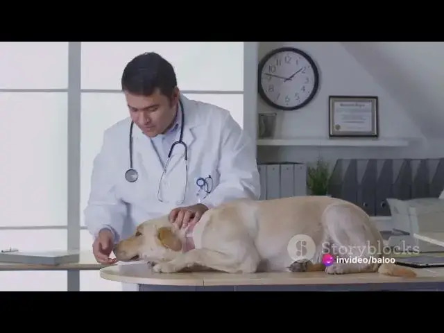 Video thumbnail for Tick Decoding the Menace to Dogs and Cats