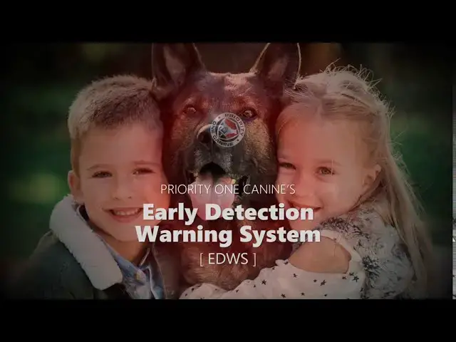 Video thumbnail for Priority1Canine Product Marketing Video