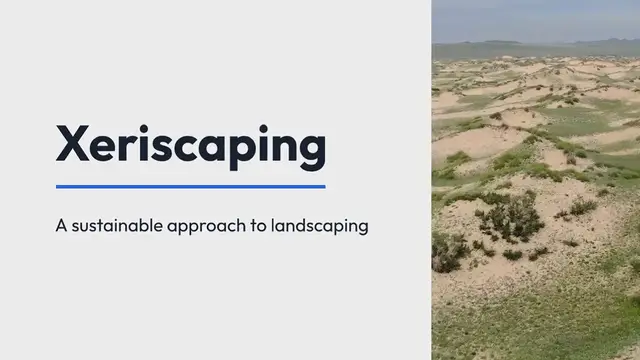 Video thumbnail for Xeriscaping