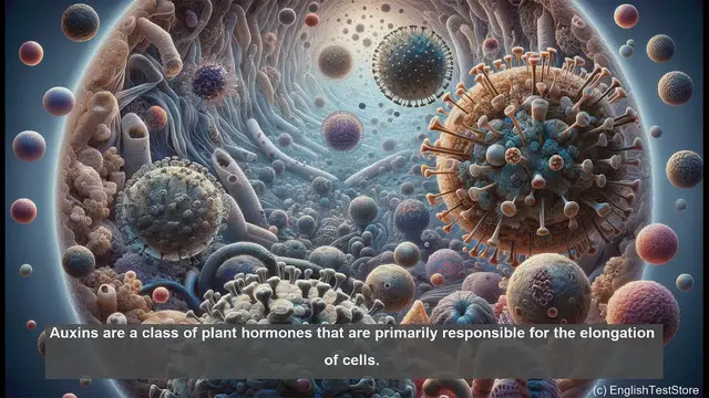 Video thumbnail for Auxins in biology