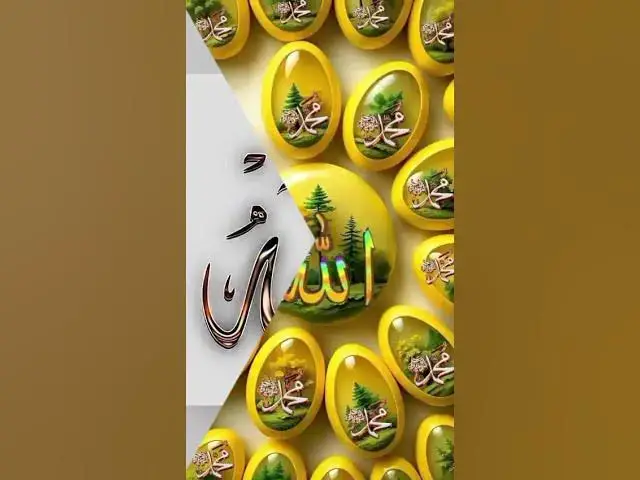 Video thumbnail for 27 November 2025