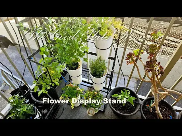 Video thumbnail for Flower Display Stand Review